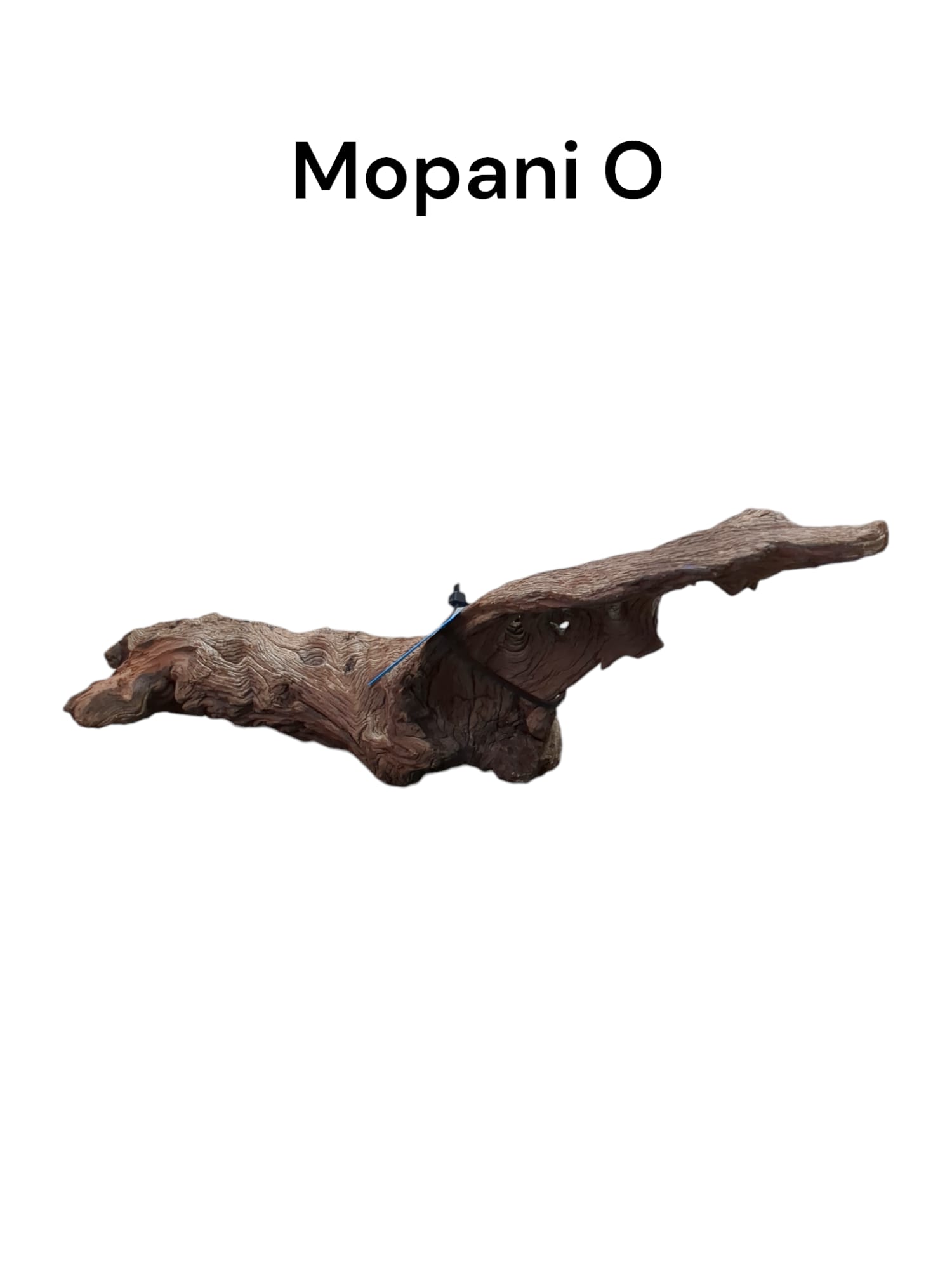 mopani o2.jpg